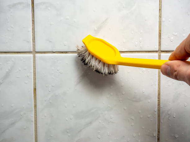Best Toxic Mold Removal  in Port Vue, PA