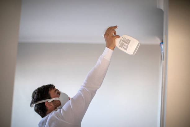 Best Home Mold Removal  in Port Vue, PA
