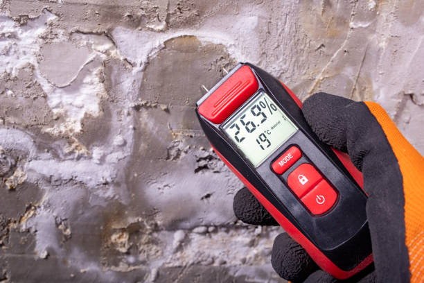 Best Mold Cleaning Services  in Port Vue, PA